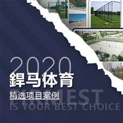 【回顧】2020年體育全年精選項目案例！